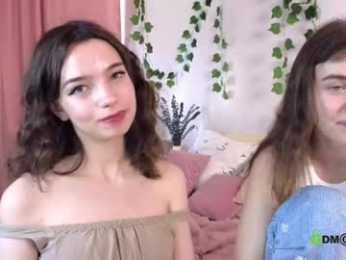 evi_brook webcam model stream image