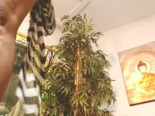 liquidfire webcam model stream image