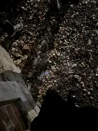 outdoors11 webcam stripchat model stream image