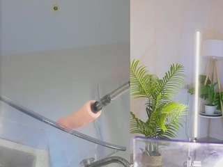 shynieblush webcam model stream image