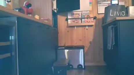 forbiddenbabygirl webcam model stream image