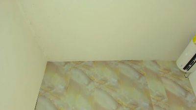 Alika_ webcam model stream image