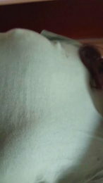 camilita59 webcam model stream image