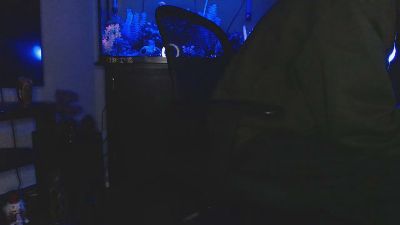 Latinlover513 webcam model stream image