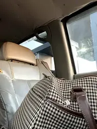 Countrypnp13 webcam model stream image