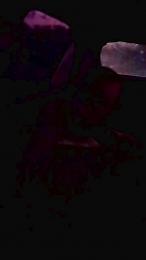 Morbo235 webcam model stream image