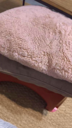 Duo_intense webcam model stream image