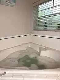 venustattoopussy webcam model stream image