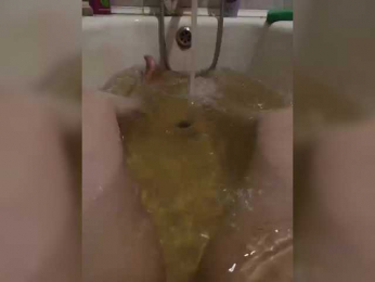 marinaWQ webcam model stream image