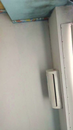 Anueel32 webcam model stream image