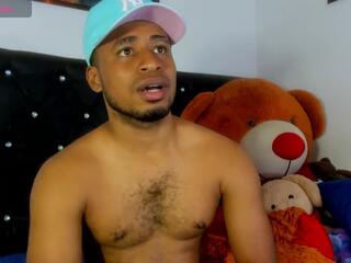 Prince Gemini webcam model stream image