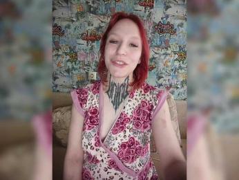 TPAX-HA-TPAX webcam model stream image