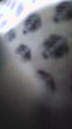 Atituderude webcam model stream image