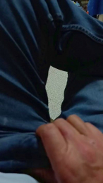 Brutuss webcam model stream image