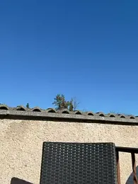 -OLYA- webcam model stream image