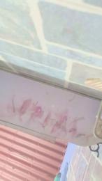 Dylanjosue webcam model stream image