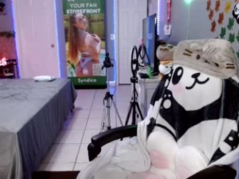 syndica webcam model stream image