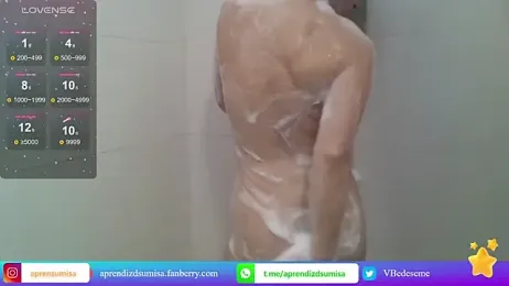 aprendizdsumisa webcam model stream image