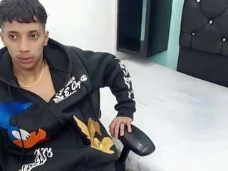 jl-brayan webcam model stream image
