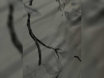 Friends-51 webcam bongacams model stream image