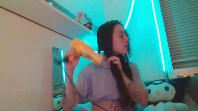 Proyecto8 webcam model stream image