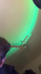 gustl_ausBrasil webcam model stream image
