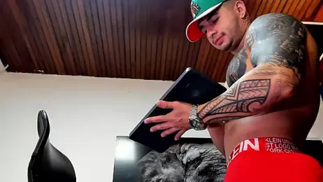 king_falconer webcam model stream image