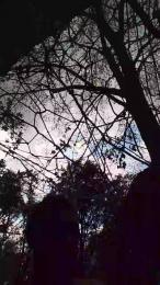 lLovePussy01 webcam cam4 model stream image