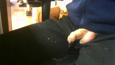 Zizi007 webcam cam4 model stream image