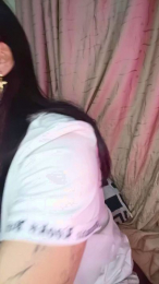 AlkiCor webcam model stream image