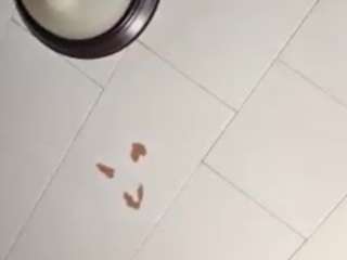 bonni3-clyde webcam model stream image