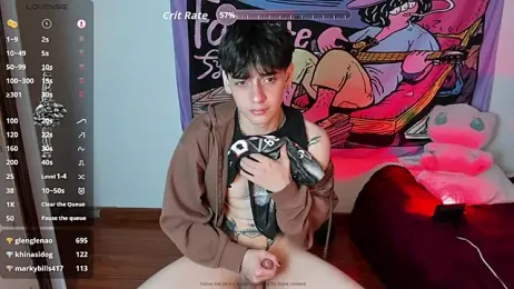 sai_l01 webcam model stream image