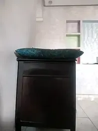 Dalou3a-69 webcam stripchat model stream image