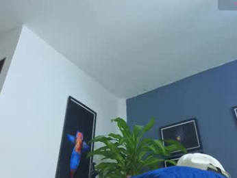 silvabranko webcam model stream image