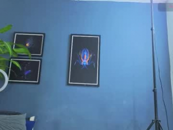 silvabranko webcam model stream image