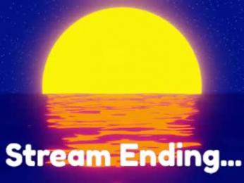 dstroker15 webcam model stream image