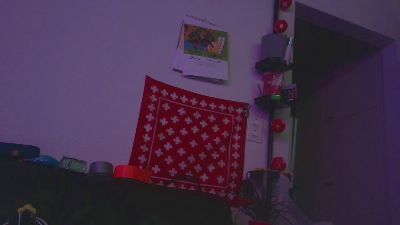 PanicRoom webcam model stream image