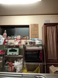 ippei0001 webcam model stream image