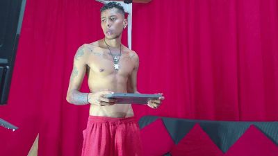 null_bbc webcam model stream image