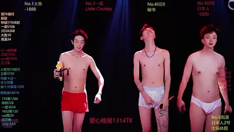 BOYGAYHOUSE1 webcam stripchat model stream image