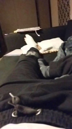 delavendee85 webcam model stream image