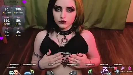 PortiaHedge webcam model stream image