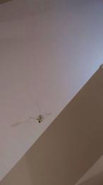 Yuna_Desire webcam model stream image