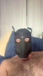 DILDOASS webcam model stream image