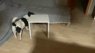 Mary6999999 webcam model stream image