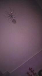 Pepita1900 webcam cam4 model stream image