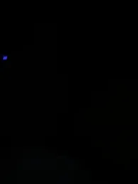 flavia337 webcam stripchat model stream image