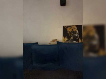 WILDGIRL webcam model stream image