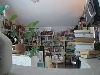 voyeurcam-bridgetleewalters-02 webcam model stream image