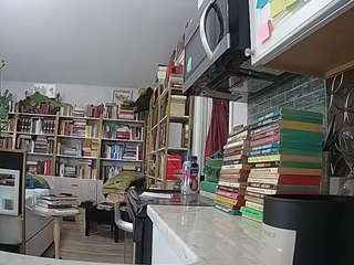 voyeurcam-bridgetleewalters-02 webcam model stream image